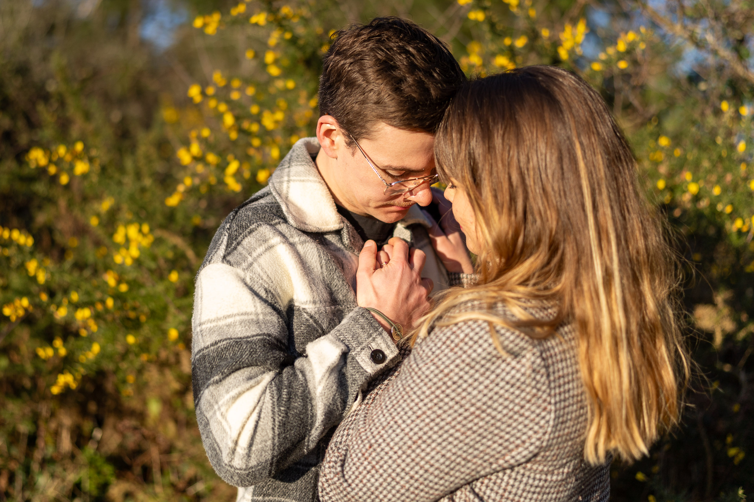 photo couleur couple ajoncs